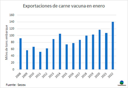 
                        Brasil: exportaciones récord de carne vacuna en enero                    