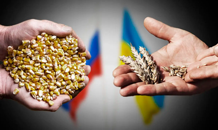 
                        Los dos factores que generan “incertidumbre” sobre el futuro de los granos                     