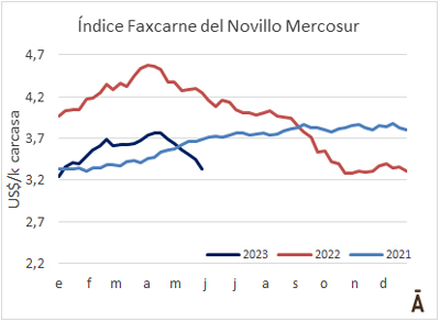 
                        Brasil arrastra al novillo Mercosur a su menor nivel desde enero                    
