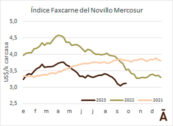 
                        Segunda semana de subas para el Novillo Mercosur                    