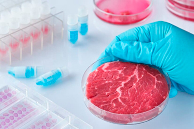 
                        Avanza proyecto para prohibir venta de “carne” sintética en Uruguay                    
