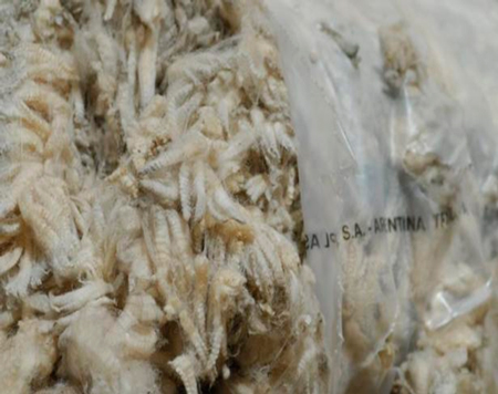 
                        Pocos negocios de lana en un mercado interno con expectativas más altas                    