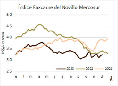
                        Precios firmes para el novillo en el Mercosur                    