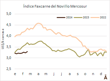 
                        Máximo en lo que va del año para el Novillo Mercosur                    
