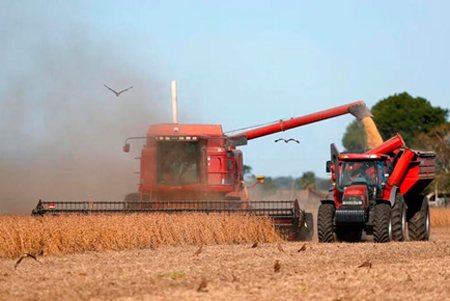 
                        Cosechar la soja argentina saldrá 230% más caro en esta zafra                     
