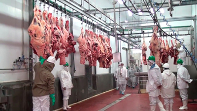 
                        Argentina habilitada para exportar carne ovina y bovina con hueso a Israel                    
