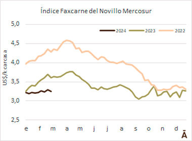 
                        Valor medio en baja para el Novillo Mercosur                    