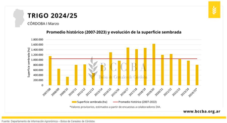 
                        La siembra de trigo en Córdoba será la más baja en 11 años                    