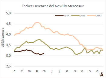 
                        Segunda semana de recuperación para el novillo Mercosur                    