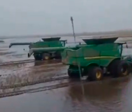 
                        La soja subió más de US$/t 12 tras la debacle por las lluvias en Rio Grande do Sul                     