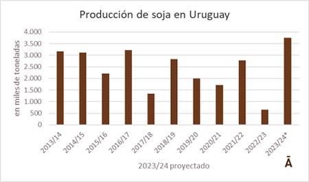 
                        Si el clima da una tregua, Uruguay tendrá una cosecha histórica de soja                    