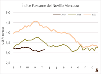 
                        El novillo Mercosur recuperó otros dos centavos                    