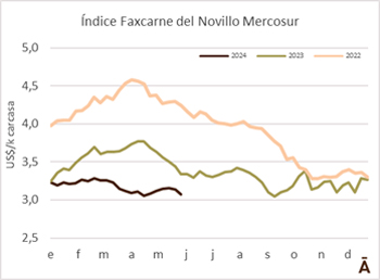 
                        Nuevo descenso para el novillo Mercosur                     