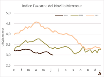 
                        Presionado por Brasil, el novillo Mercosur perforó los US$ 3 por kg                    