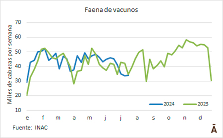 
                        Tercera semana consecutiva con faena menor a 35 mil cabezas                    