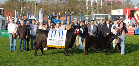 
                        Gran Campeona Aberdeen Angus fue para San Gregorio Ganadera                    