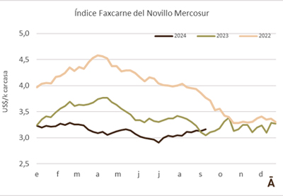 
                        Máximos en cuatro meses para el novillo Mercosur                    