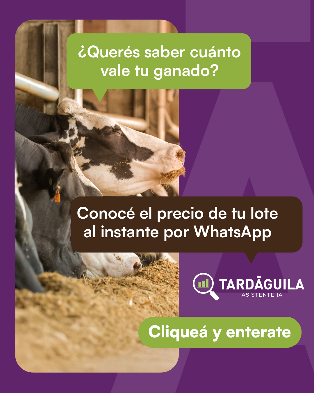 Agente IA en WhatsApp