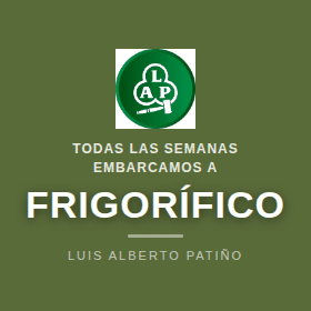 Patino