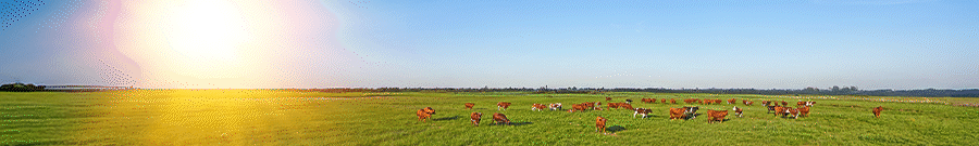 Agrobal