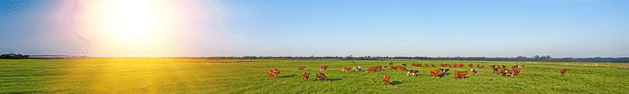 Agrobal
