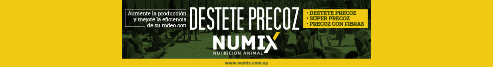 Numix