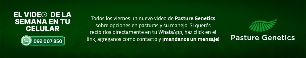 Pasture